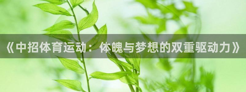 酷玩体育的东西是正品吗