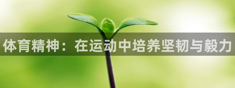 酷玩体育直播在线播放