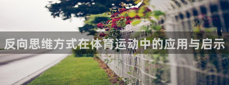 酷玩体育：反向思维方式在体育运动中的应用与启示