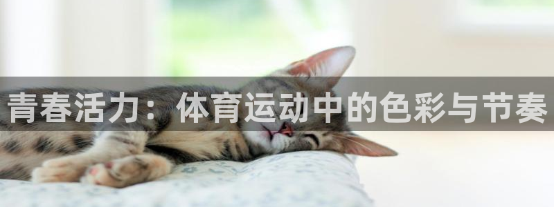 酷玩体育app：青春活力：体育运动中的色彩与节奏