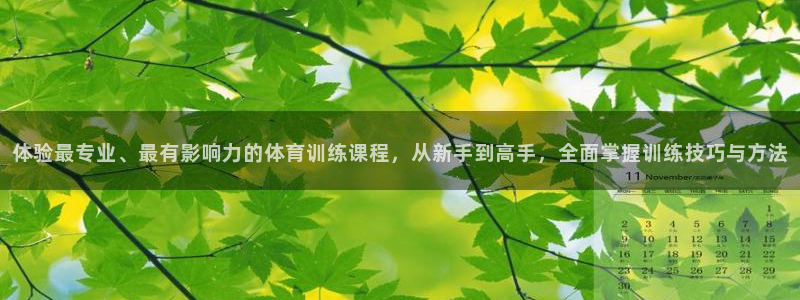 酷玩体育直播在线播放