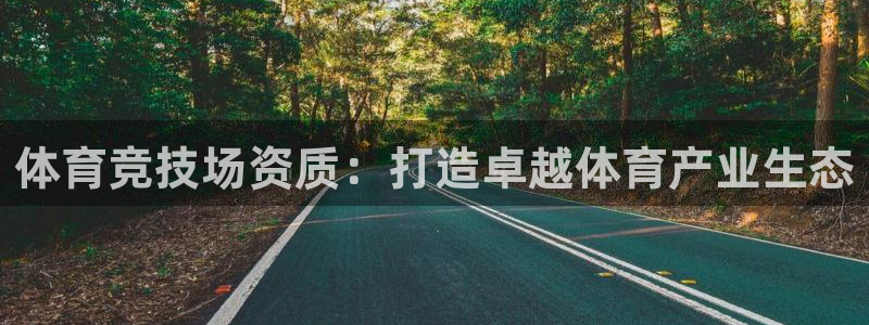 酷玩体育低调看NBA