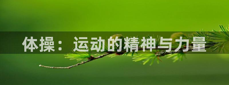 酷玩体育的东西是正品吗