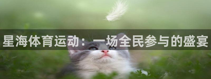 酷玩体育app：星海体育运动：一场全民参与的盛宴